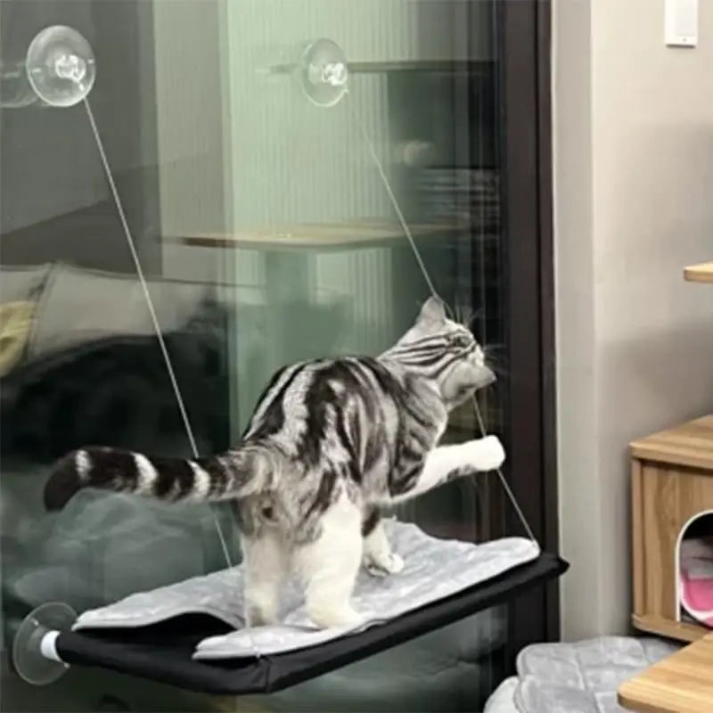 Kattenhangmat met zuignappen