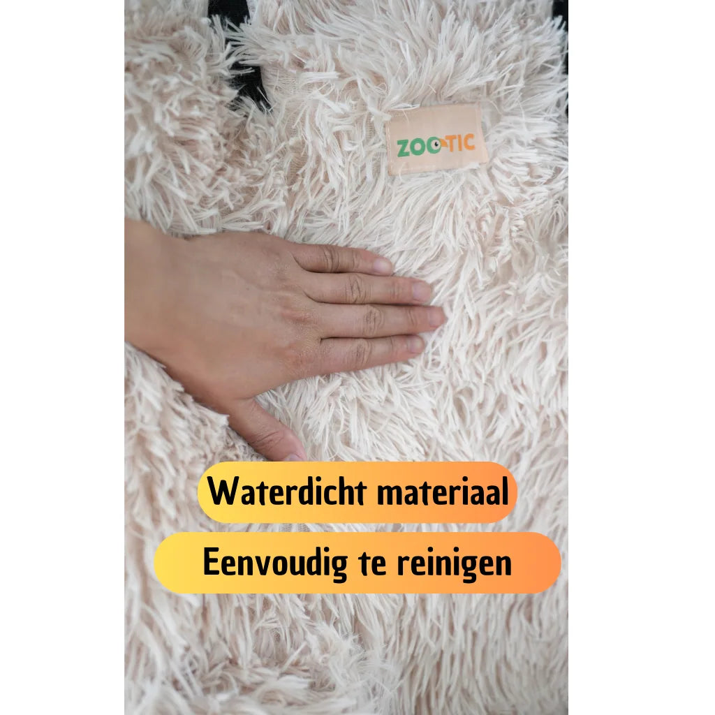 Siège auto pour chien