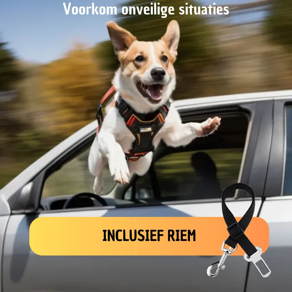 Siège auto pour chien