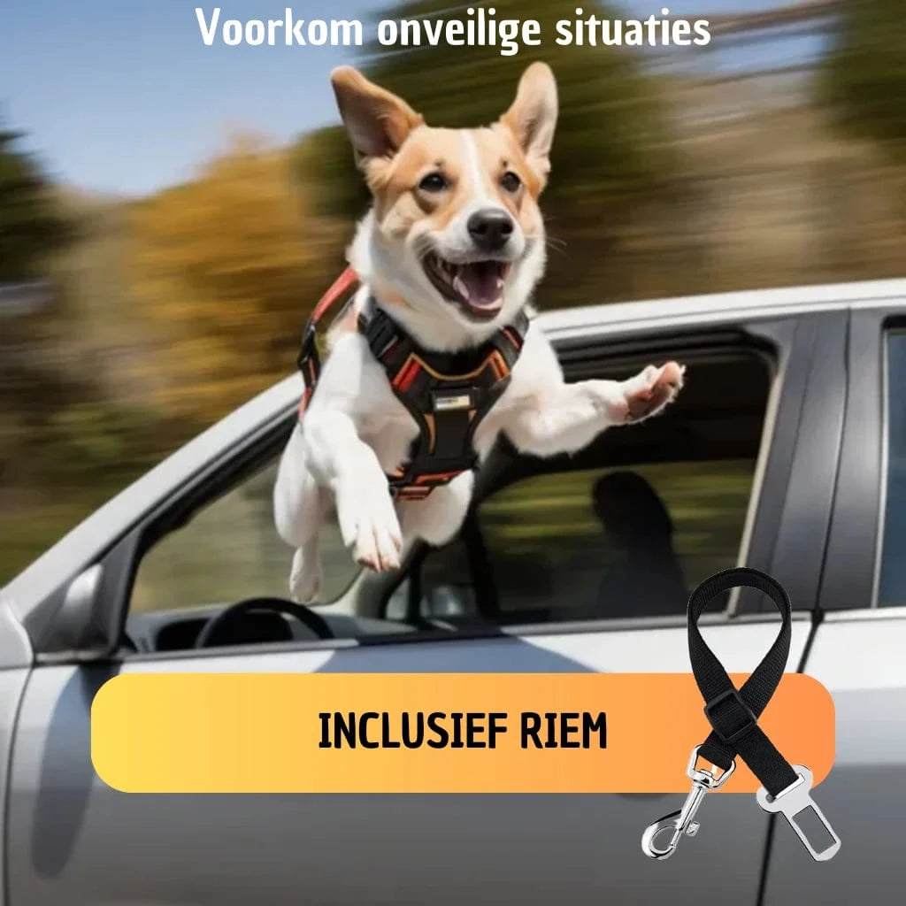 Hondenmand auto