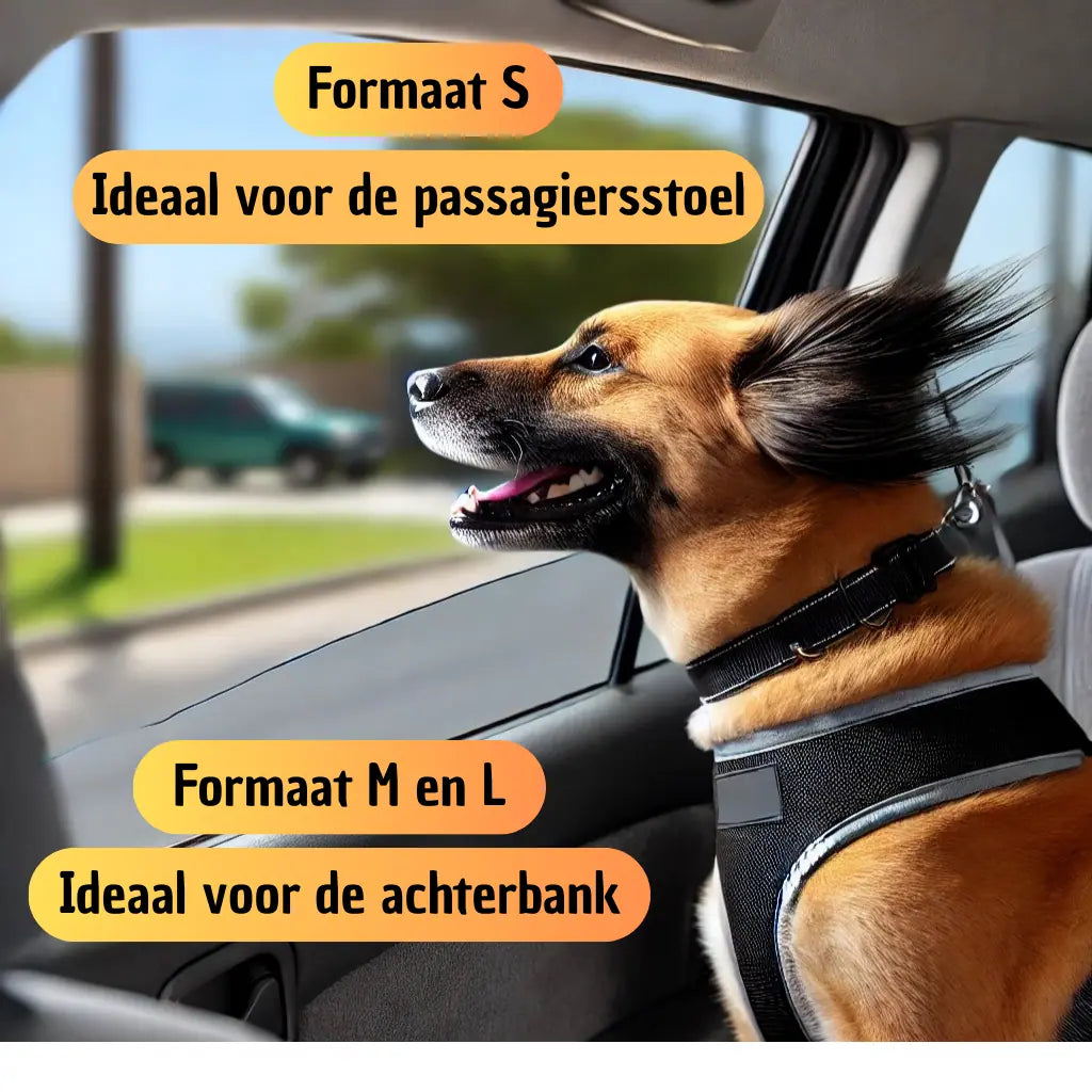 Siège auto pour chien