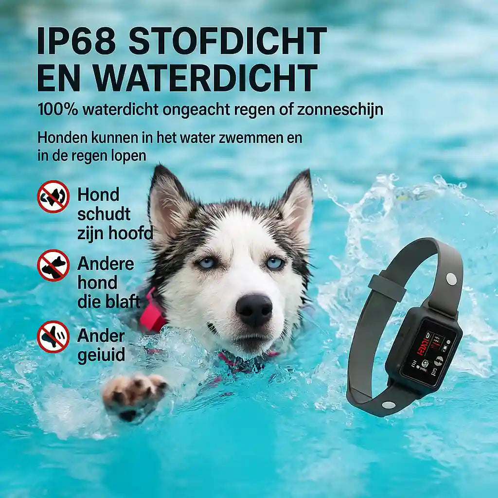 Anti blafband honden