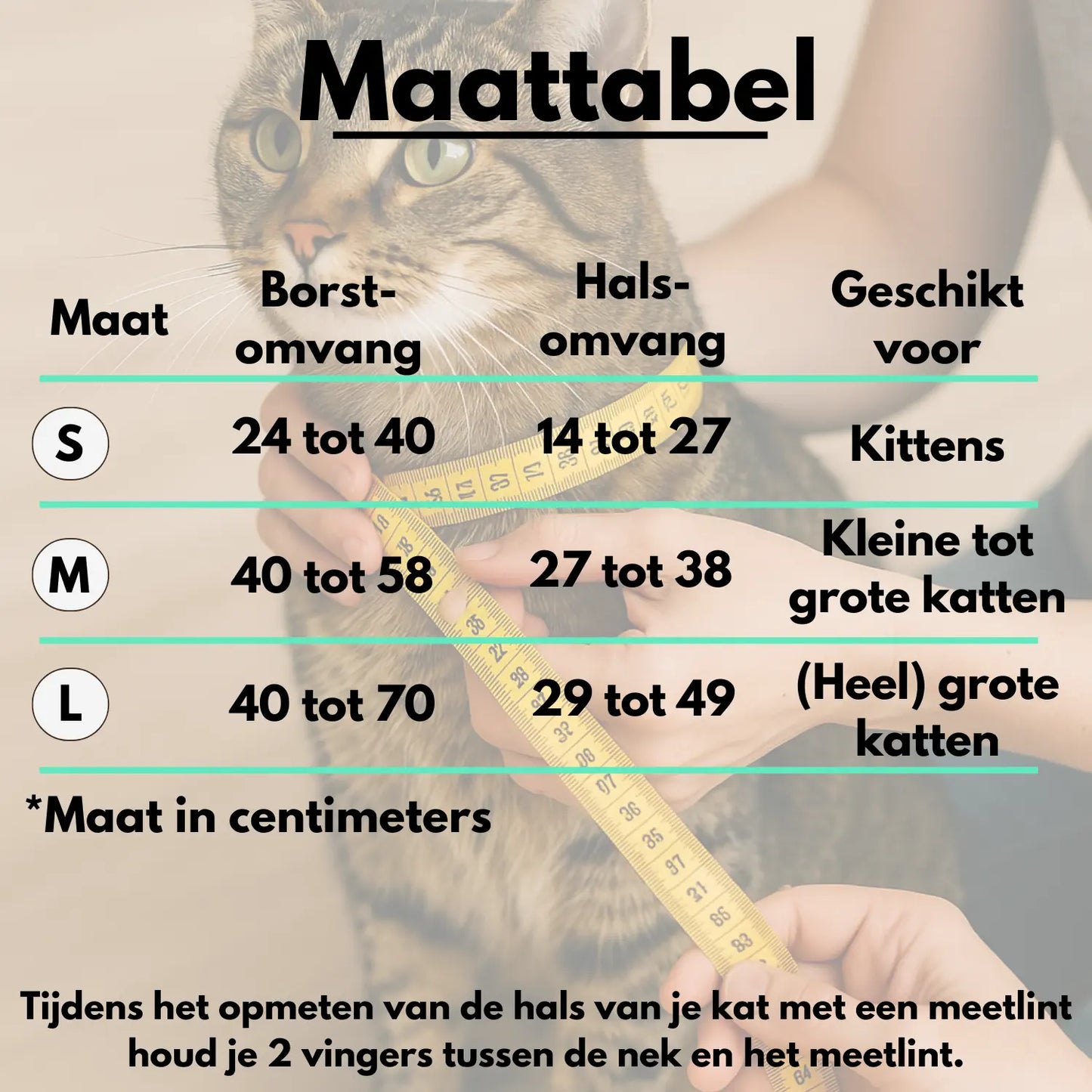 Kattentuigje met looplijn