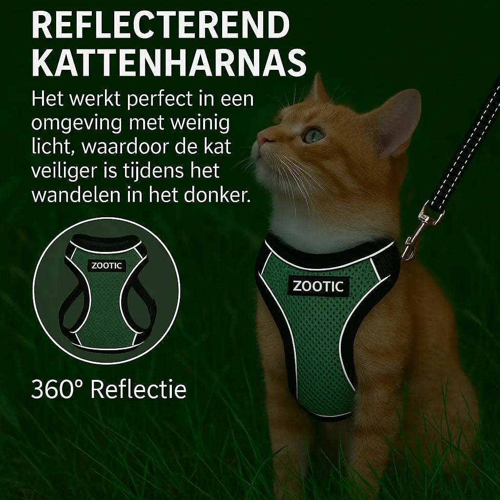 Kattentuigje met looplijn