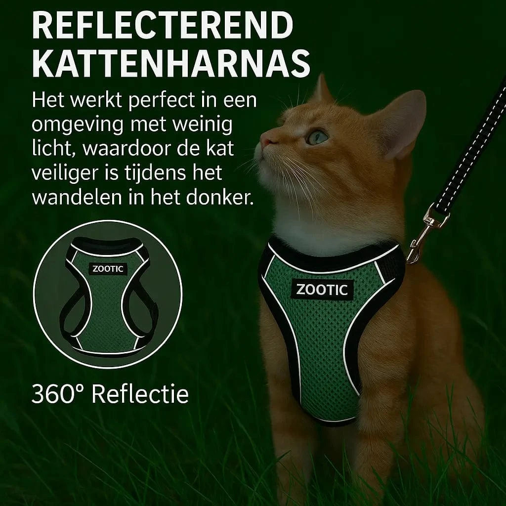 Kattentuigje met looplijn