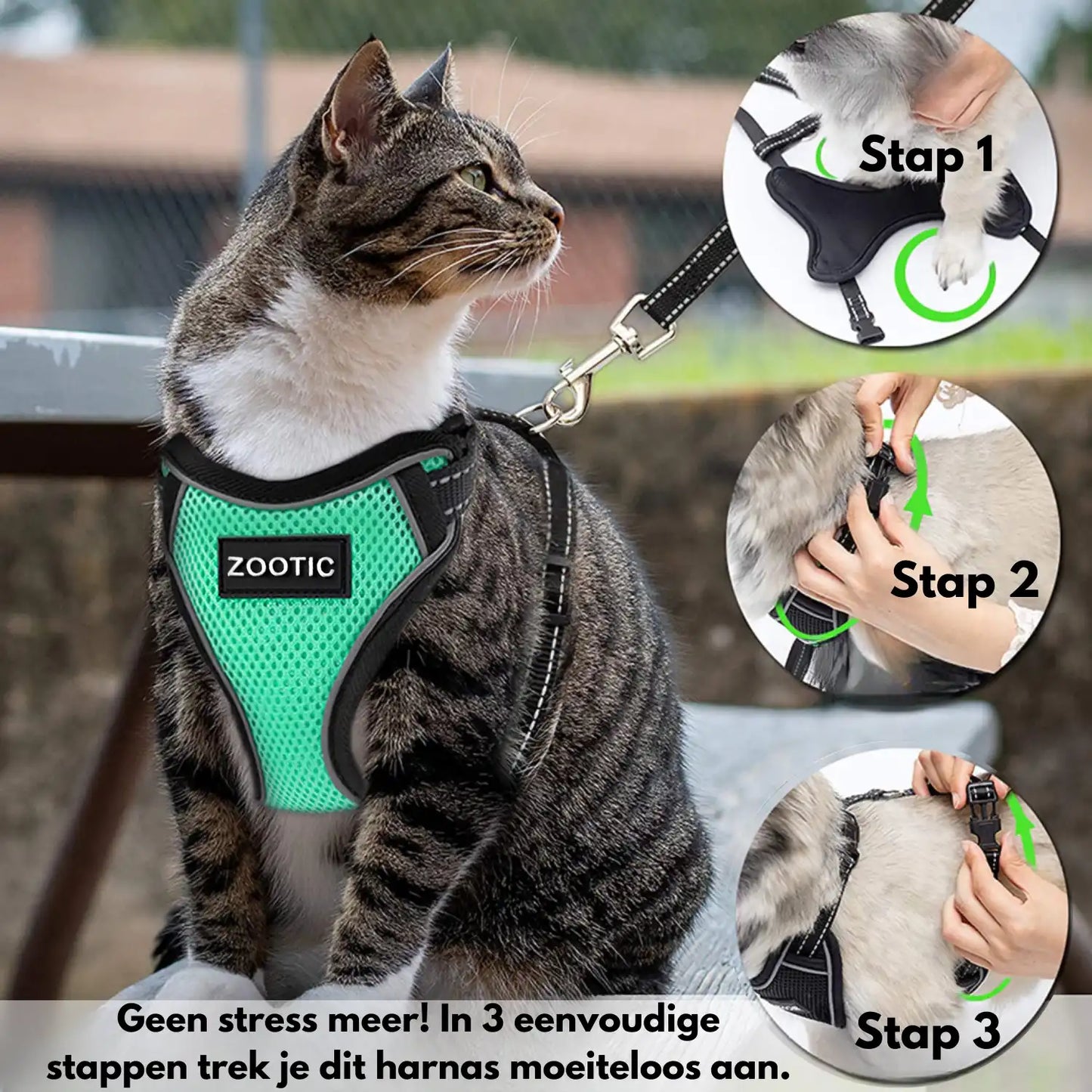 Kattentuigje met looplijn