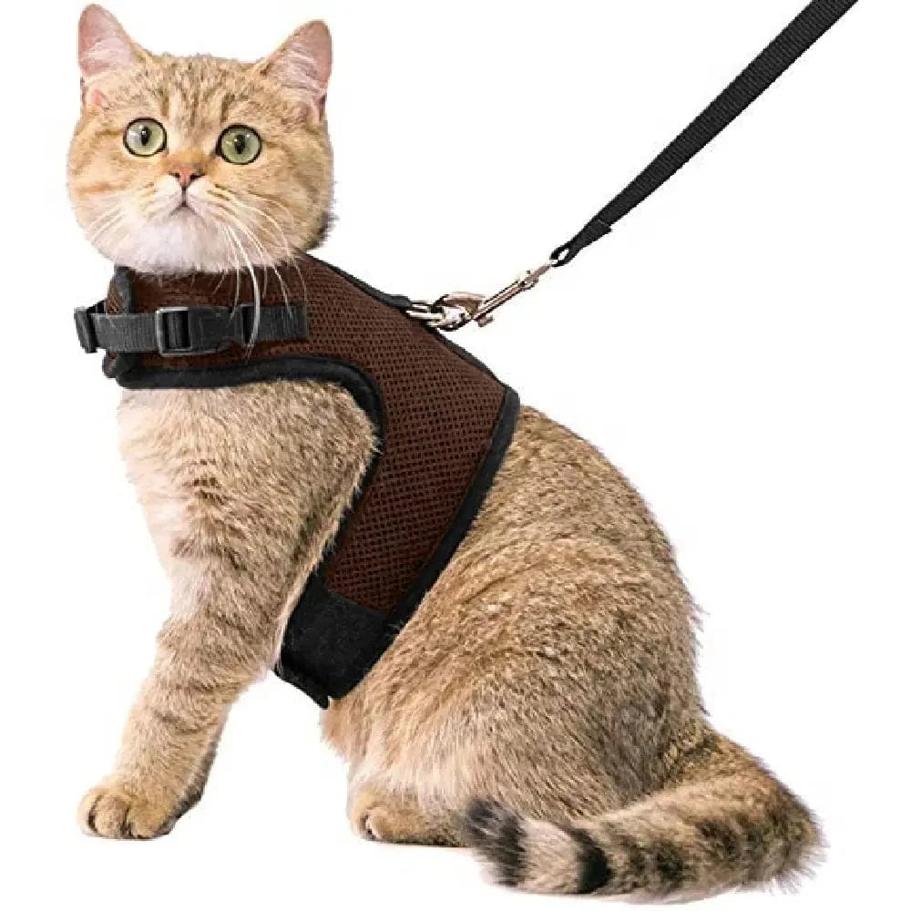 Kattentuigje met looplijn