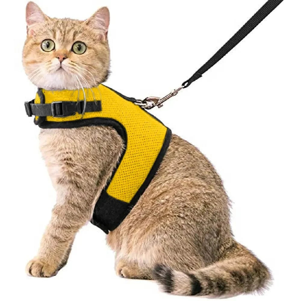 Kattentuigje met looplijn