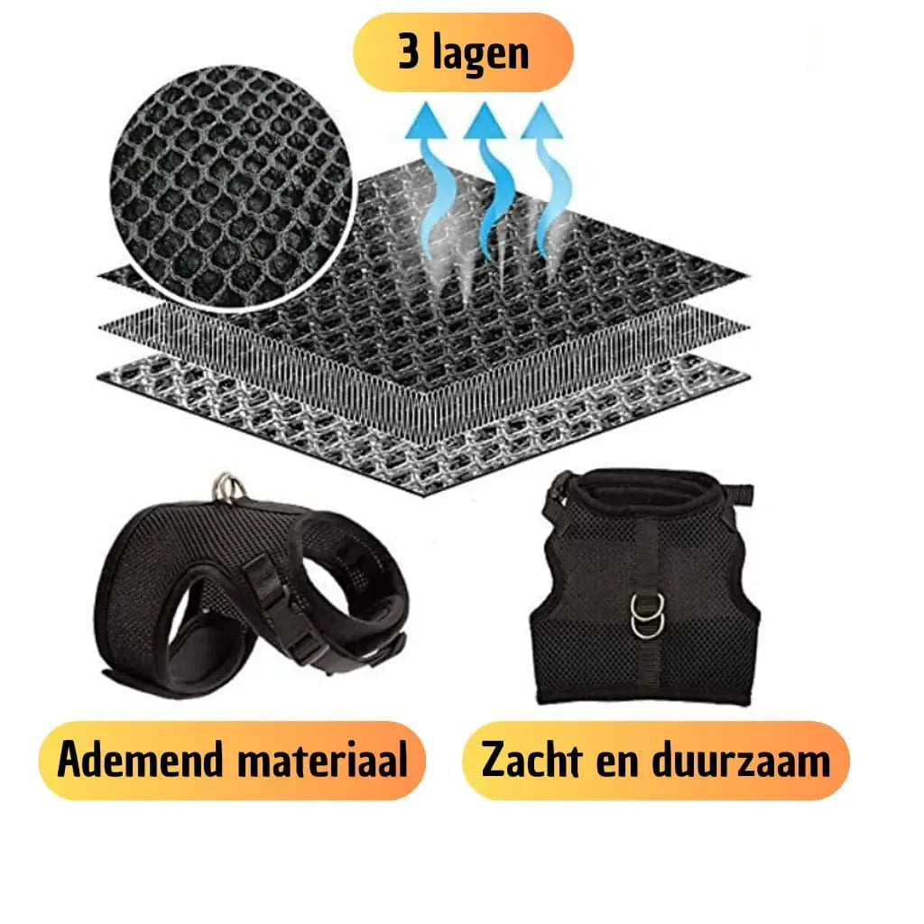Kattentuigje met looplijn