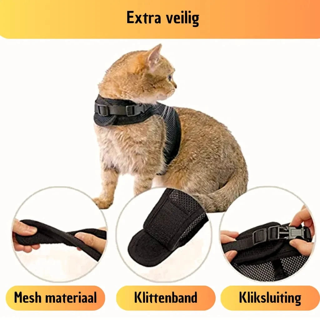 Kattentuigje met looplijn