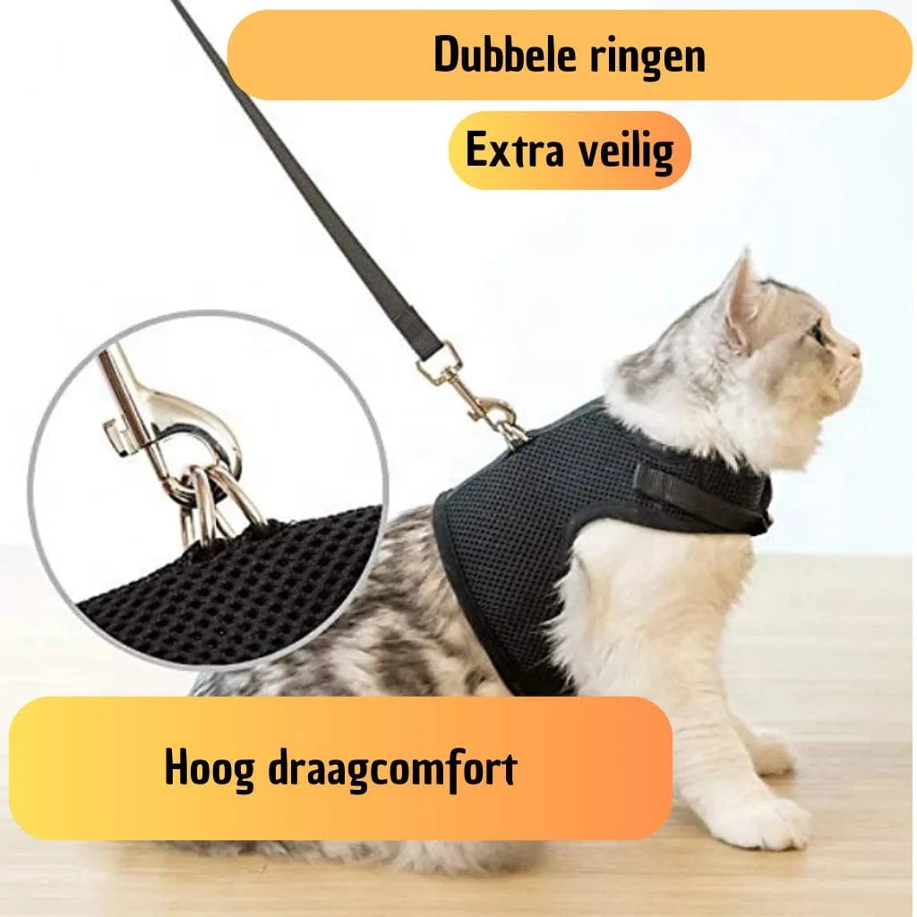 Kattentuigje met looplijn