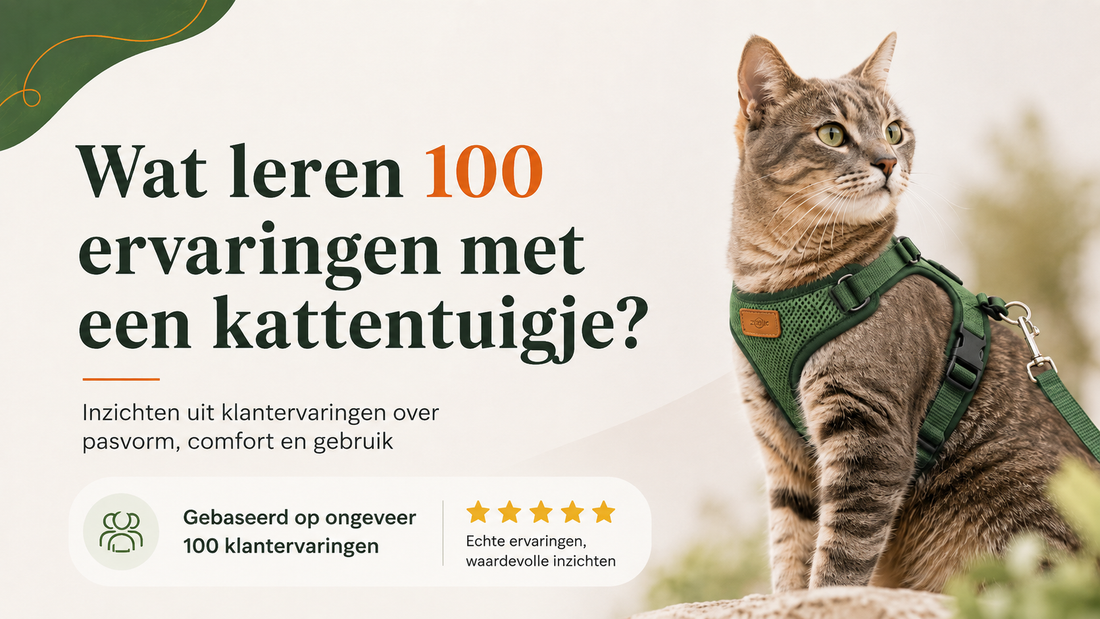 Kattentuigje kiezen? Dit leerden we uit ongeveer 100 klantreviews