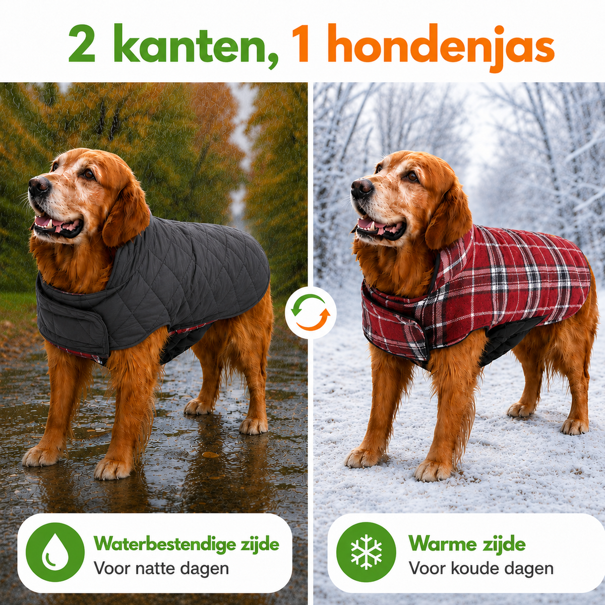 Hond met de effen zijde en de geruite zijde van dezelfde omkeerbare hondenjas