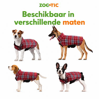 Honden van verschillende groottes met een geruite hondenjas