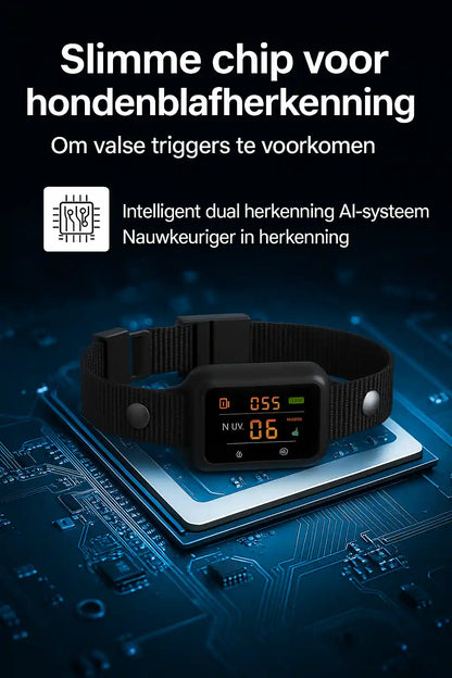 Anti blafband honden