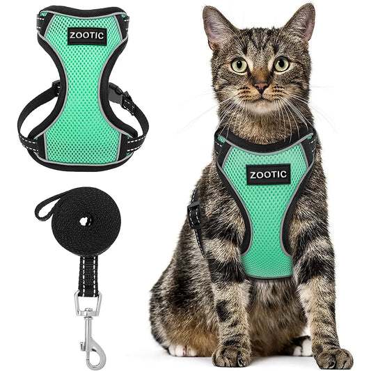 Kattentuigje met looplijn