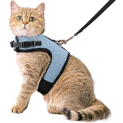 Kattentuigje met looplijn