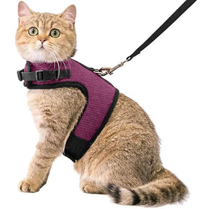 Beste katten harnas – Veilig en comfortabel op pad met je kat Beste katten harnas – Veilig en comfortabel op pad met je kat