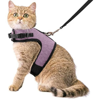 Kattentuigje met looplijn