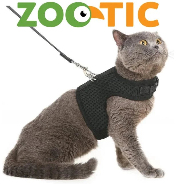 PETCUTE Kat harnas en riem ontsnappingsbewijs Kat vest harnas met lood verstelbare kat wandelen lood PETCUTE Kat harnas en riem ontsnappingsbewijs Kat vest harnas met lood verstelbare kat wandelen lood