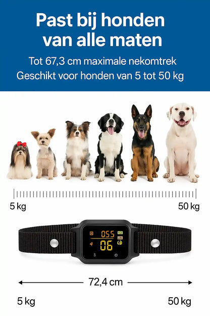 Anti blafband honden