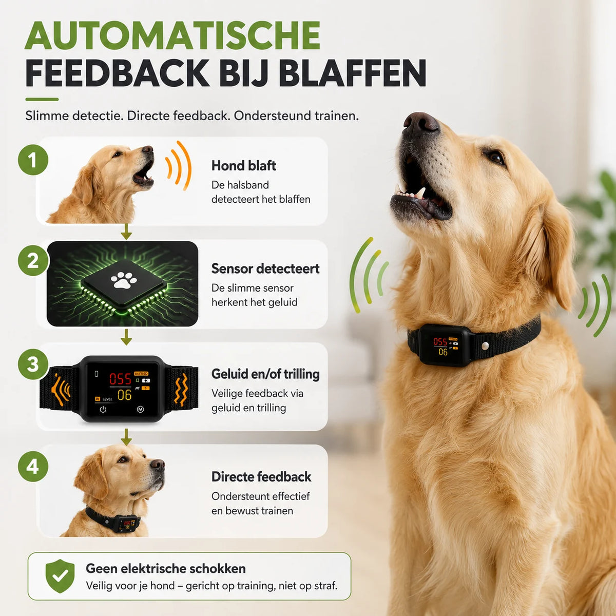 Werking van Zootic anti blafband met automatische feedback bij blaffen