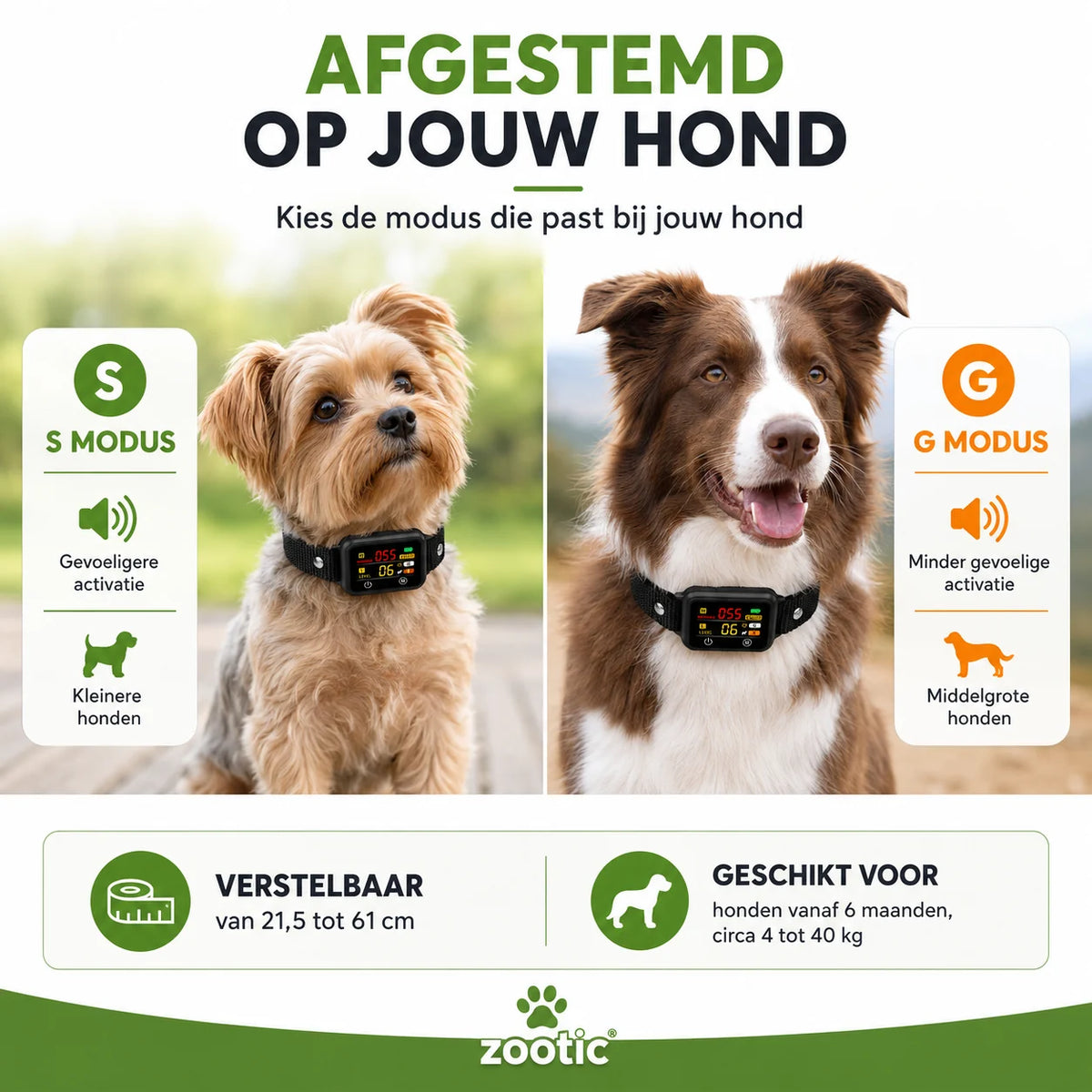 Zootic anti blafband met gevoeligheidsmodus voor kleine en middelgrote honden